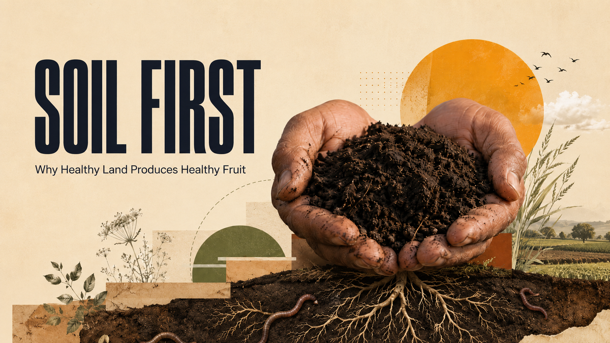 Soil First: Why Healthy Land Produces Healthy Fruit